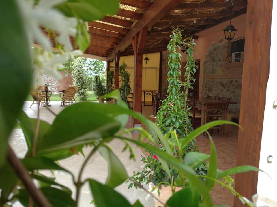 Agriturismo Il Selvello Le Versegge Exterior photo