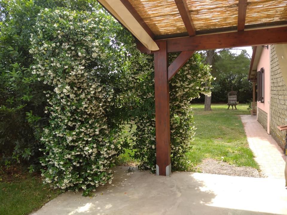 Agriturismo Il Selvello Le Versegge Exterior photo