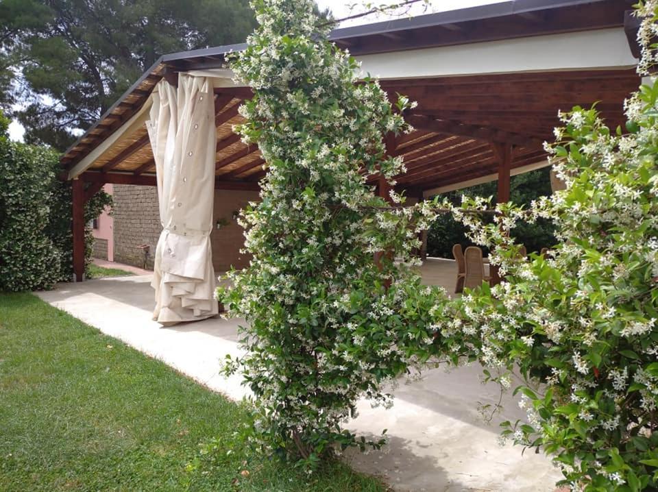 Agriturismo Il Selvello Le Versegge Exterior photo
